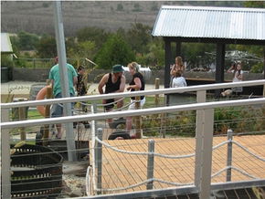 Rosslyn Park SA New South Wales Tourism 