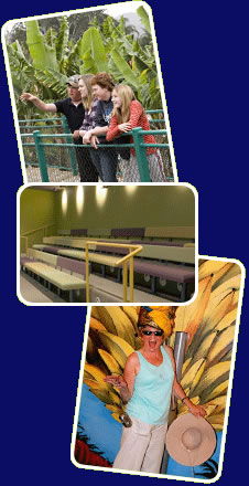 Big Banana - New South Wales Tourism  2