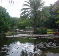 Brisbane City Botanic Gardens - New South Wales Tourism 