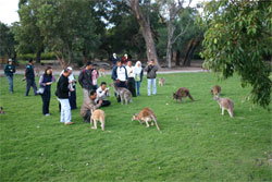 Caversham Wildlife Park - New South Wales Tourism  2