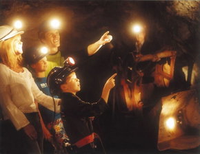 Central Deborah Gold Mine - New South Wales Tourism  3