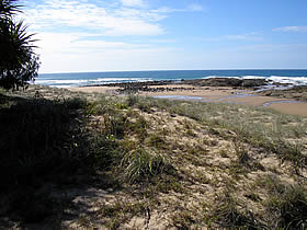 Deepwater National Park - New South Wales Tourism  0