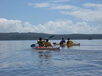 Kanu Kapers - New South Wales Tourism  2