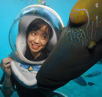 Sunlover Reef Cruises - New South Wales Tourism 