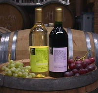 Beckingham Wines - New South Wales Tourism 