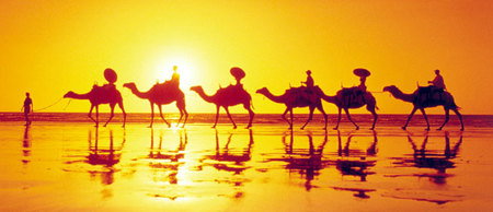 Banksia Adventures - New South Wales Tourism  1