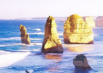 Bunyip Tours - New South Wales Tourism  3