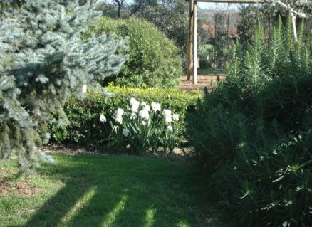The Old Cheese Factory - New South Wales Tourism  2
