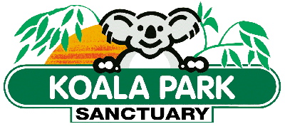 Koala Park Sanctuary - New South Wales Tourism 