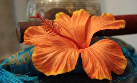 Annasha Day Spa Retreat - New South Wales Tourism  5