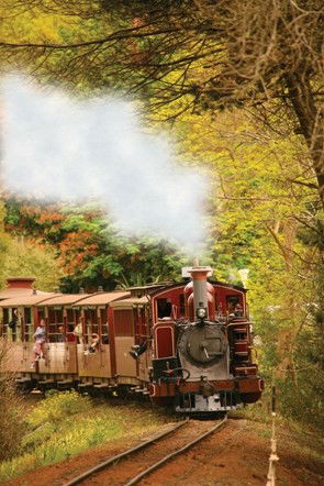 Puffing Billy - New South Wales Tourism  5