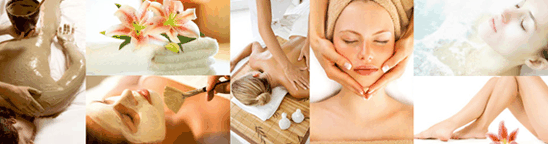 Apollos Day Spa - New South Wales Tourism  1