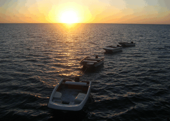 Carlo Fishing Charters - New South Wales Tourism  2
