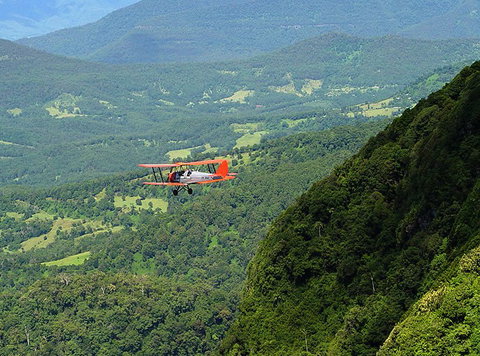 Tigermoth Joy Rides - New South Wales Tourism  4