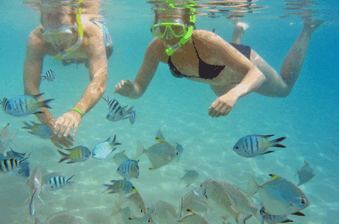 Australian Kayaking Adventures - New South Wales Tourism  2