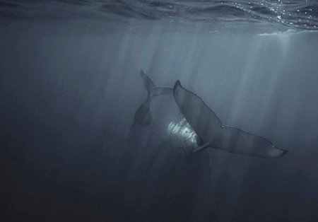 Eleven40 Gallery - New South Wales Tourism  4