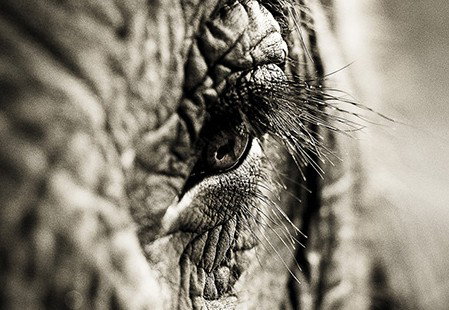 Eleven40 Gallery - New South Wales Tourism  5