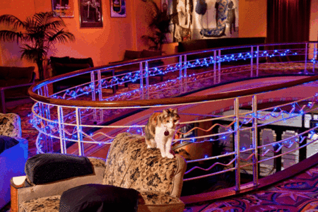 The Astor Theatre - New South Wales Tourism  3