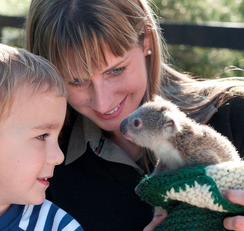Australian Reptile Park - New South Wales Tourism  1