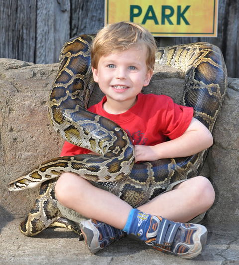 Australian Reptile Park - New South Wales Tourism  3