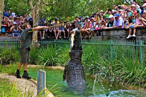 Australian Reptile Park - New South Wales Tourism  4