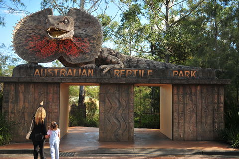 Australian Reptile Park - New South Wales Tourism  5