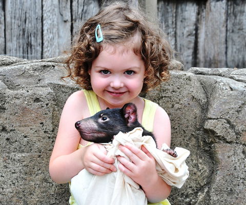 Australian Reptile Park - New South Wales Tourism  8