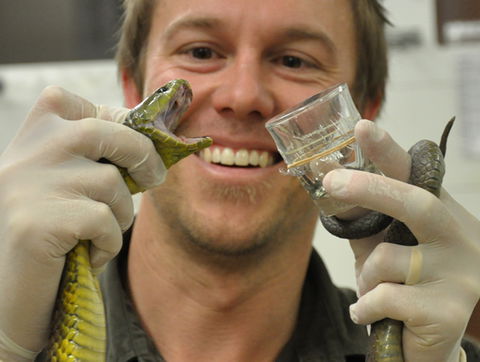 Australian Reptile Park - New South Wales Tourism  9