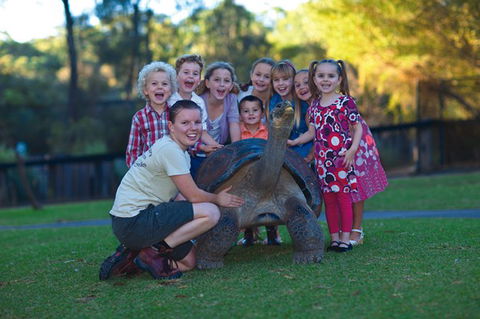 Australian Reptile Park - New South Wales Tourism  11