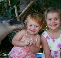 Dolphin Marine Magic - New South Wales Tourism 