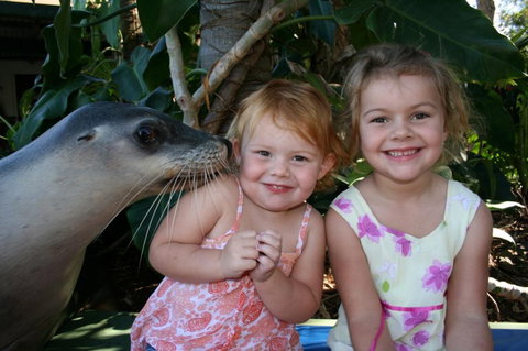 Dolphin Marine Magic - New South Wales Tourism  0