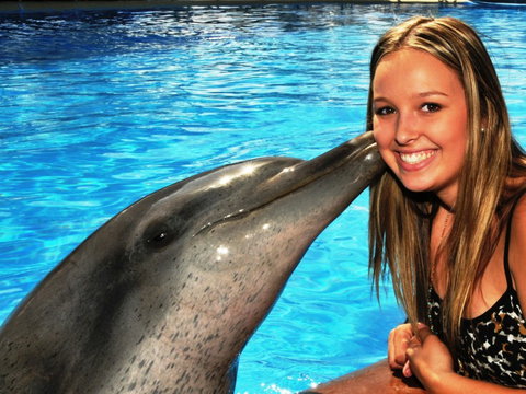 Dolphin Marine Magic - New South Wales Tourism  3