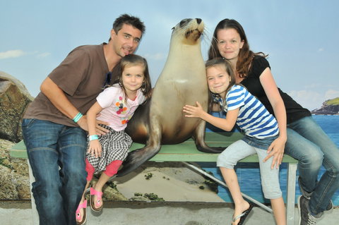 Dolphin Marine Magic - New South Wales Tourism  6