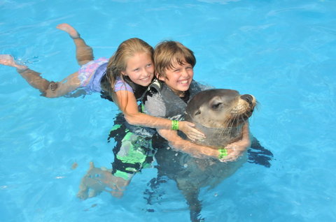 Dolphin Marine Magic - New South Wales Tourism  9