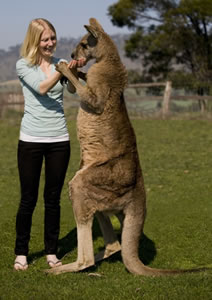 Zoo Doo Wildlife Park - New South Wales Tourism  5