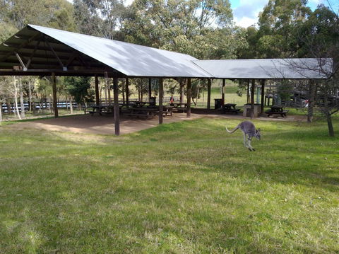 Calmsley Hill City Farm - New South Wales Tourism  5