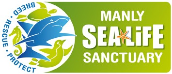 Manly SEA LIFE Sanctuary - New South Wales Tourism  0