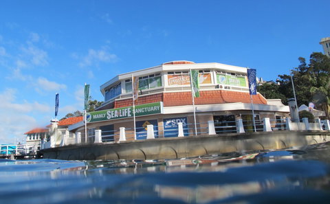 Manly SEA LIFE Sanctuary - New South Wales Tourism  2