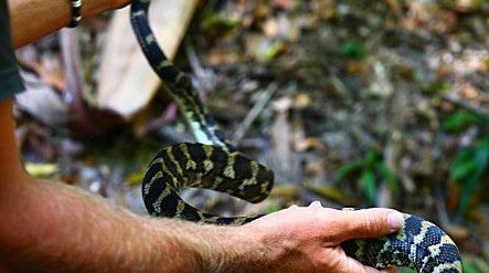 Queensland Day Tours - New South Wales Tourism  1
