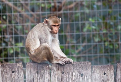 Darling Downs Zoo - New South Wales Tourism  5