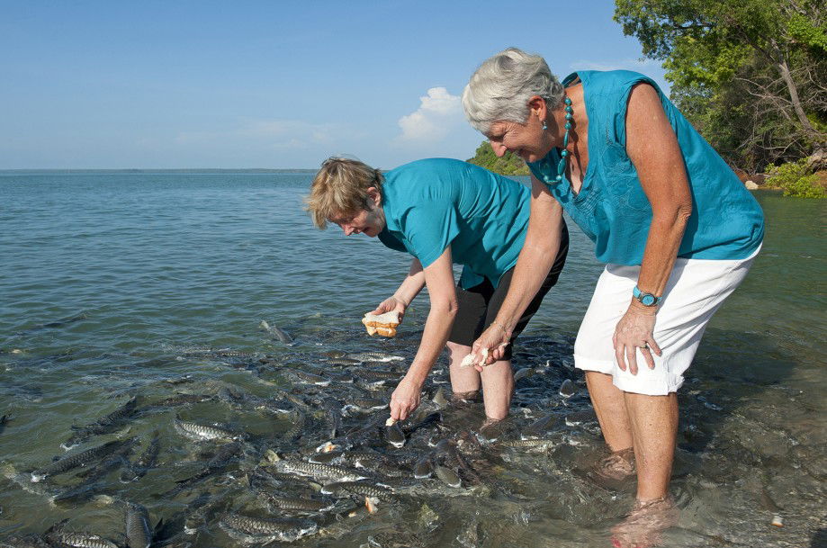  New South Wales Tourism 