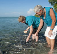Aquascene Fish Feeding Sanctuary - New South Wales Tourism 