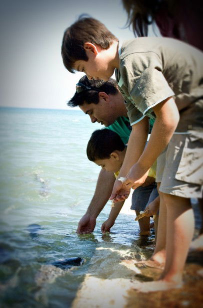 Aquascene Fish Feeding Sanctuary - New South Wales Tourism  3