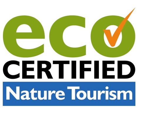 Aquascene Fish Feeding Sanctuary - New South Wales Tourism  4