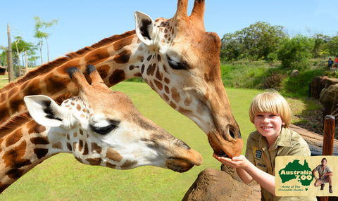 Australia Zoo - New South Wales Tourism  4