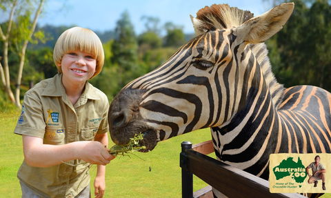 Australia Zoo - New South Wales Tourism  5