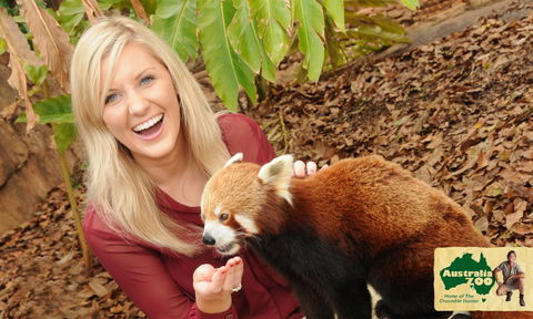 Australia Zoo - New South Wales Tourism  7