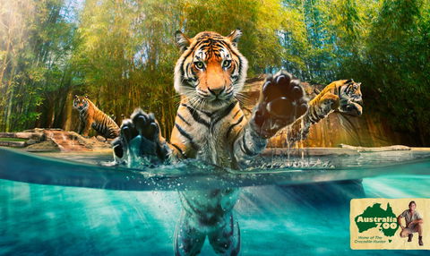 Australia Zoo - New South Wales Tourism  9
