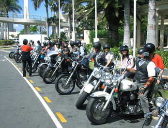 Wildfire Tours - New South Wales Tourism  1