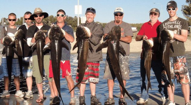 BKs Gold Coast Fishing Charters - New South Wales Tourism  1